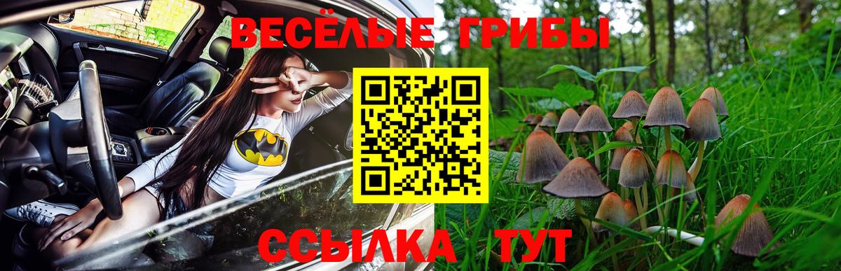 Галлюциногенные грибы мухоморы Похвистнево