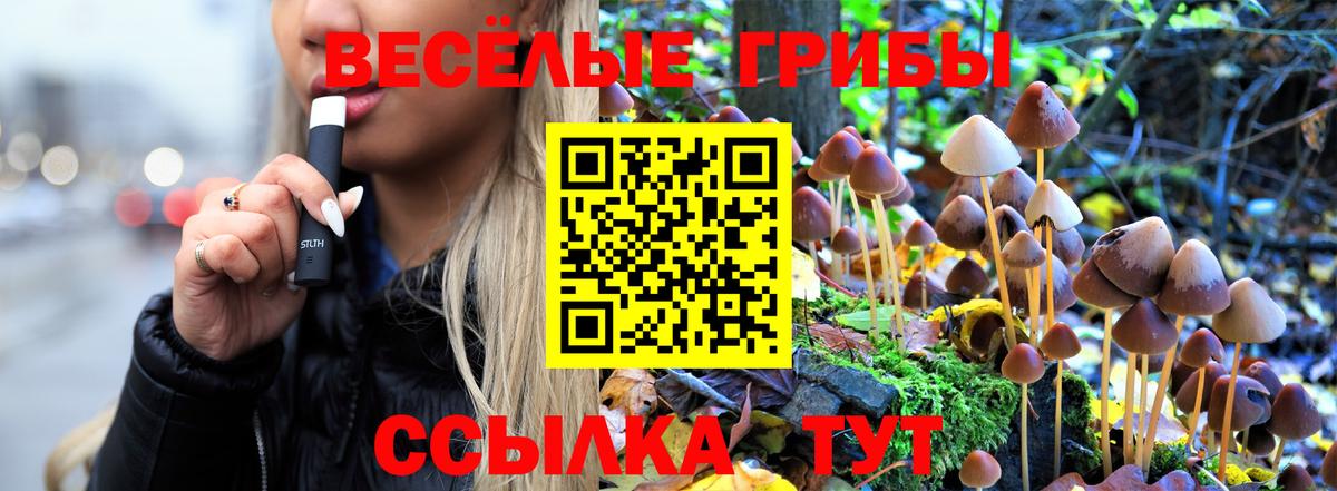 Галлюциногенные грибы ЛСД  сколько стоит  Похвистнево  Вход с VPN 
